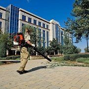 5 Most Powerful Backpack Leaf Blowers For Sale In 2022 Reviews