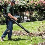 Best 4 Electric Backpack Leaf Blowers To Buy In 2020 Reviews