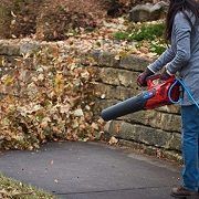 Best 5 Highest CFM Leaf Blowers You Can Use In 2022 Reviews