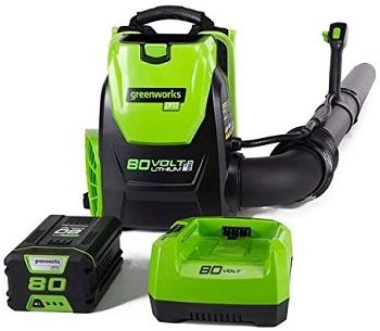 Greenworks 580CFM Cordless Backpack