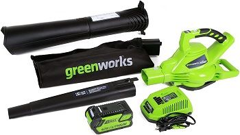 Greenworks Cordless Leaf BlowerVacuum