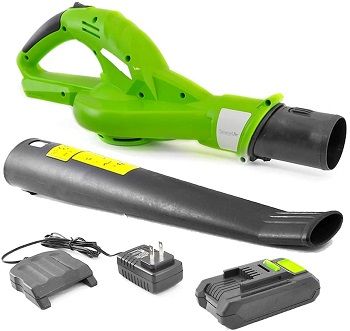 SereneLife Electric Leaf Blower review