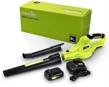 SnapFresh Cordless Leaf Blower review