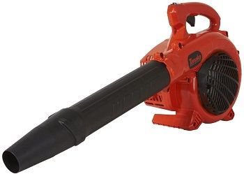 Tanaka TRB24EAP Leaf Blower review