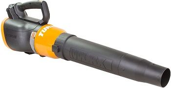 Worx WG546 Turbine Leaf Blower review