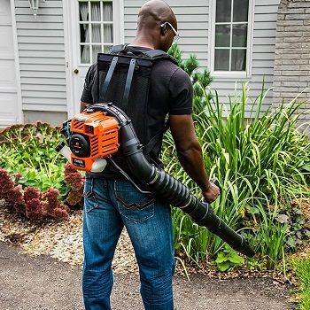 Best 5 Cheap Backpack Leaf Blowers For Sale In 2020 Reviews