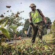 20 Best Rated Leaf Blowers On Sale In 2022 Reviews + Guide