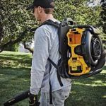 Best 5 Battery Powered Backpack Leaf Blowers In 2020 Reviews