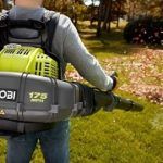 Best 5 Gas Backpack Leaf Blowers You Can Get In 2020 Reviews