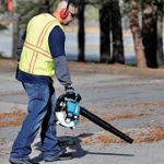 Best 5 Gas Powered Leaf Blowers For Sale In 2020 Reviews