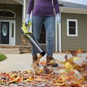 Best 5 Handheld Leaf Blowers: Gas & Electric In 2022 Reviews