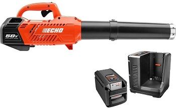 Echo CPLB leaf Blower review