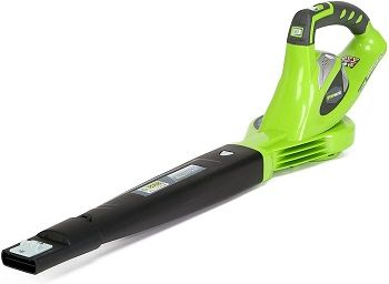 Greenworks Variable Speed Cordless Leaf Blower