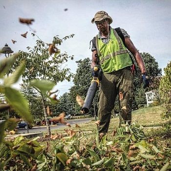 best-leaf-blower