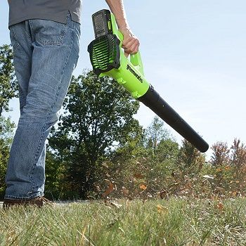 cheap-leaf-blowers