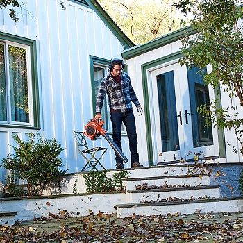 handheld-gas-leaf-blower