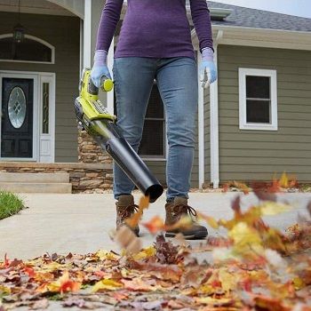 handheld-leaf-blower